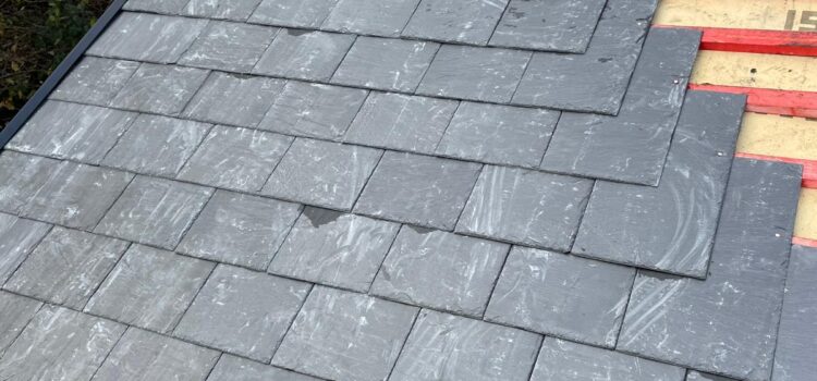 Local Roofing Specialists